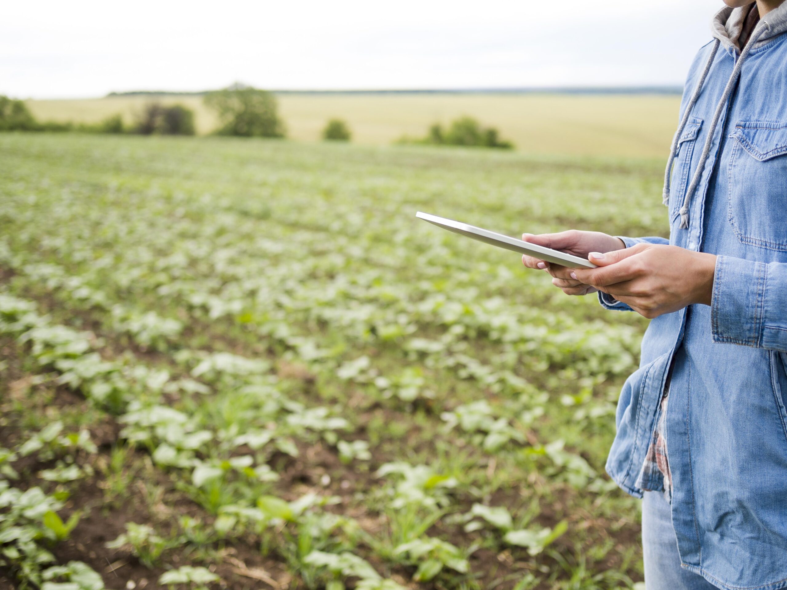 Importancia de la implementación de tecnología en la agricultura.