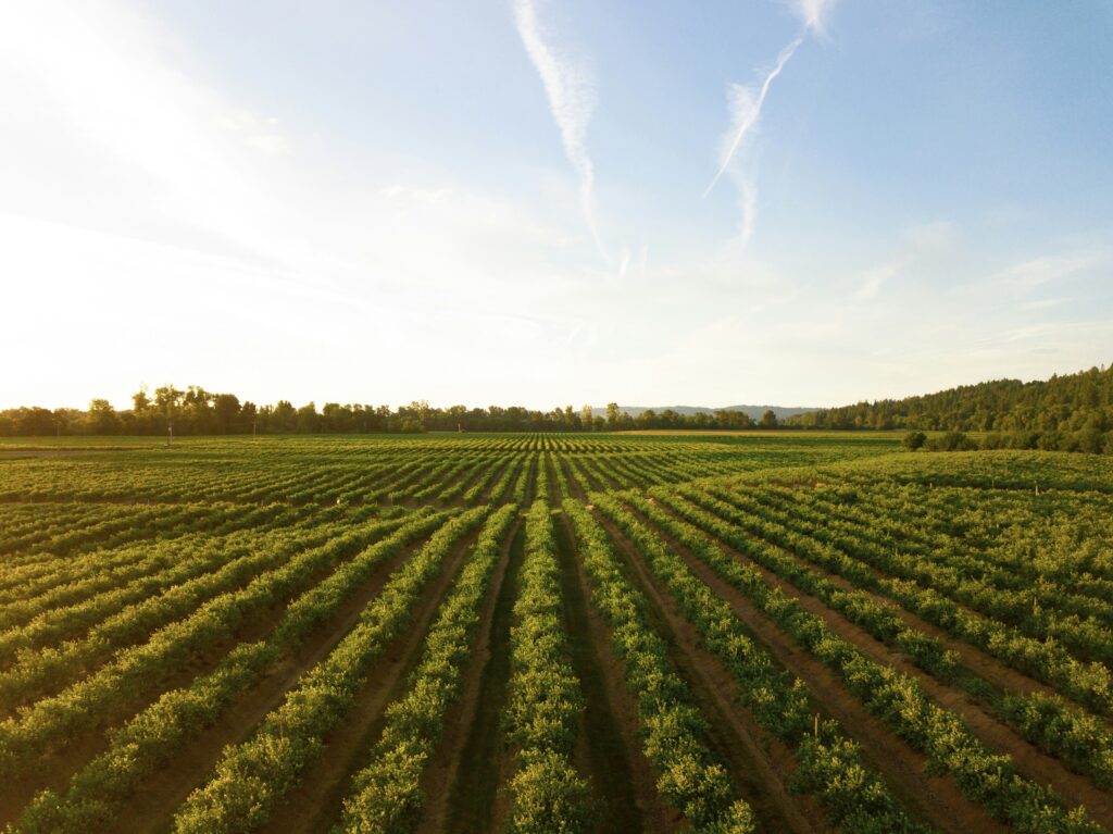 Aplicación de tecnología en el campo.