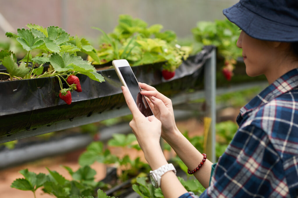Dispositivos IoT en la agricultura